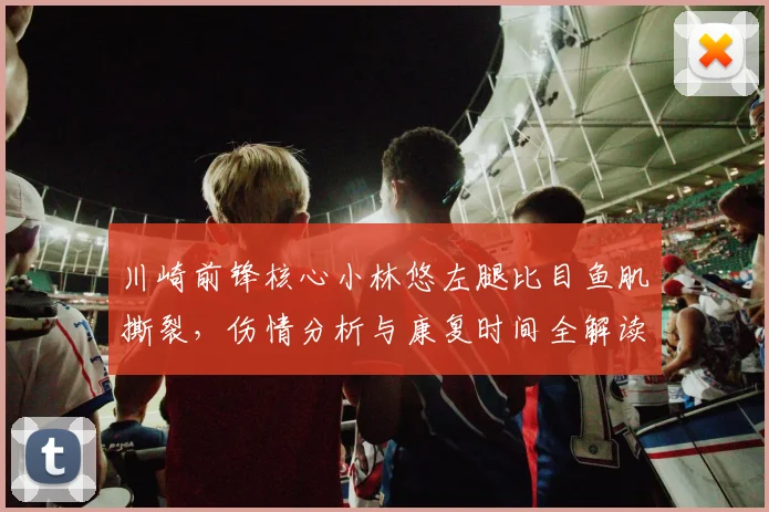川崎前锋核心小林悠左腿比目鱼肌撕裂，伤情分析与康复时间全解读