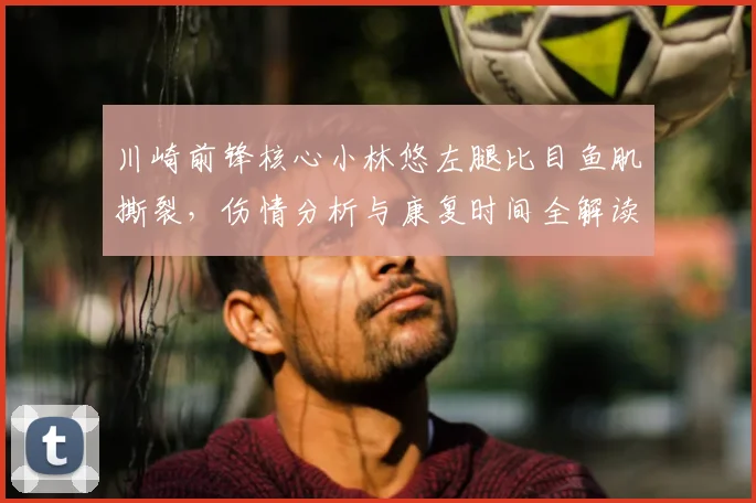 川崎前锋核心小林悠左腿比目鱼肌撕裂,伤情分析与康复时间全解读